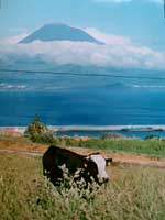 Paysage de Faial - Le mont Pico en arrière plan